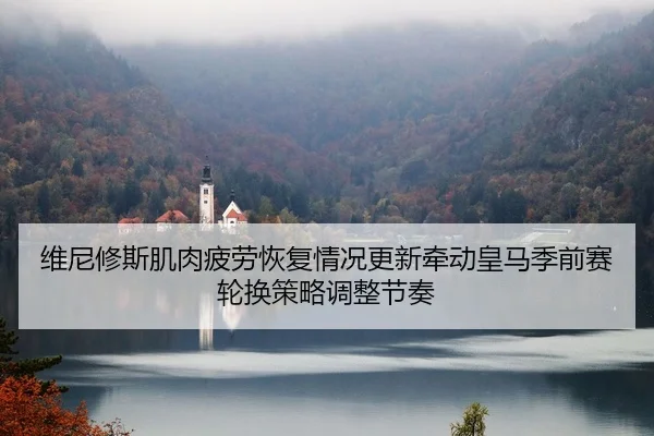 维尼修斯肌肉疲劳恢复情况更新牵动皇马季前赛轮换策略调整节奏